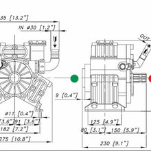 Load image into Gallery viewer, NEW - 3 DIAPHRAGM PUMP PA 530 SV VC By Bertolini
